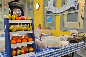 Bild 211 der Galerie Thumbnail