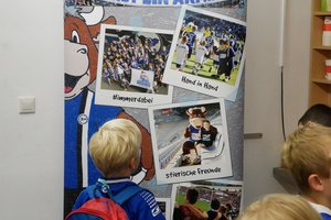 Bild 11 der Galerie Thumbnail