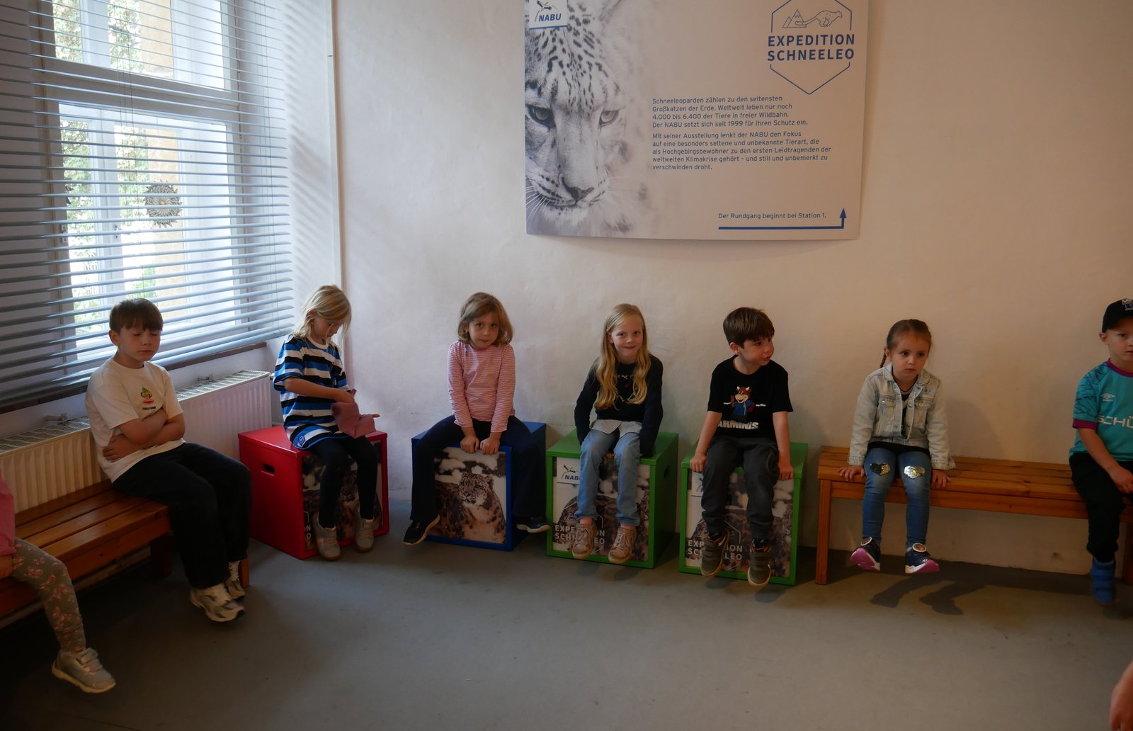 Bild 8 der Galerie