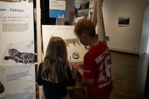 Bild 7 der Galerie Thumbnail