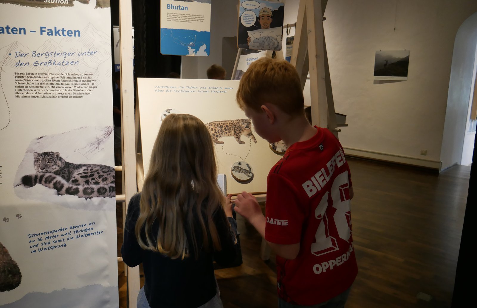 Bild 7 der Galerie