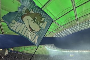 Bild 8 der Galerie Thumbnail