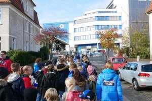 Bild 13 der Galerie Thumbnail