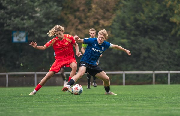 Bild zur Schlagzeile: U21 gleicht spät aus, U19 gewinnt in Wolfsburg, U17 unterliegt Paderborn