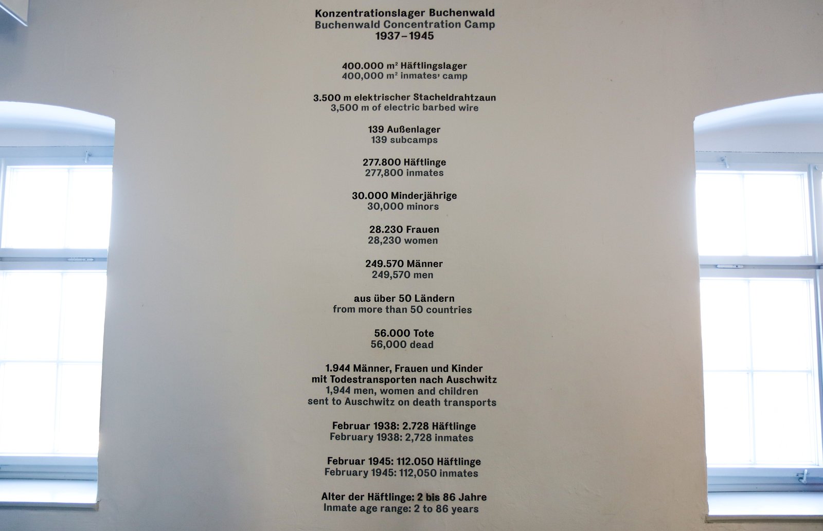 Bild 3 der Galerie