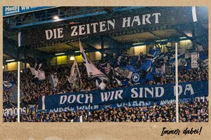 Bild 6 der Galerie Thumbnail