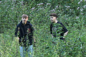 Bild 3 der Galerie Thumbnail