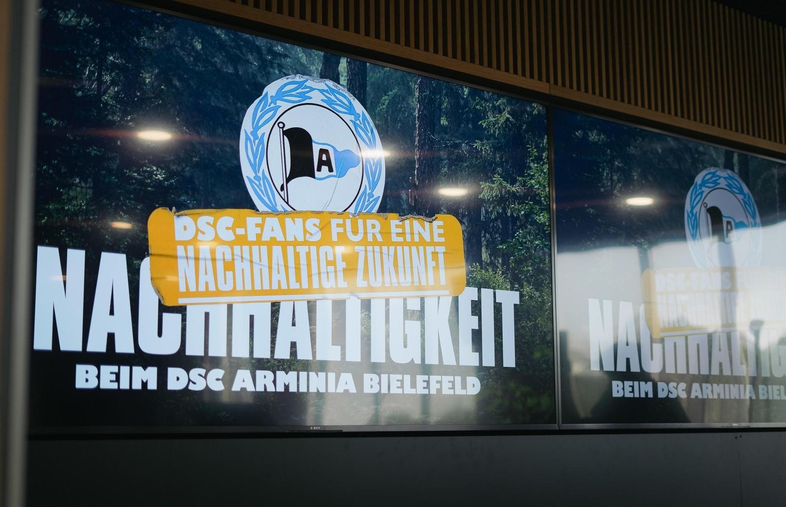 Bild 1 der Galerie