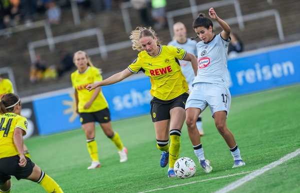 Bild zur Schlagzeile: DSC-Frauen unterliegen BVB zum Auftakt 0:3 